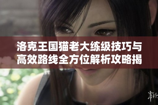 洛克王国猫老大练级技巧与高效路线全方位解析攻略揭秘