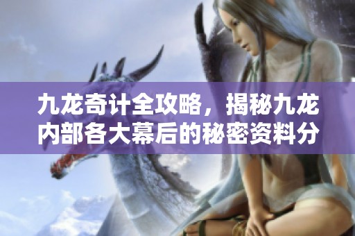 九龙奇计全攻略，揭秘九龙内部各大幕后的秘密资料分享