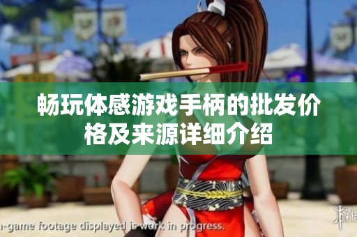 畅玩体感游戏手柄的批发价格及来源详细介绍