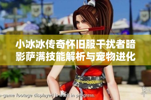 小冰冰传奇怀旧服干扰者暗影萨满技能解析与宠物进化策略指南