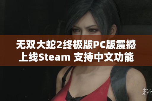 无双大蛇2终极版PC版震撼上线Steam 支持中文功能正式发布