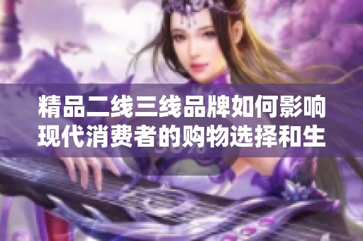 精品二线三线品牌如何影响现代消费者的购物选择和生活方式