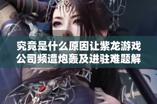 究竟是什么原因让紫龙游戏公司频遭炮轰及进驻难题解析