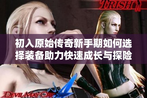 初入原始传奇新手期如何选择装备助力快速成长与探险之旅