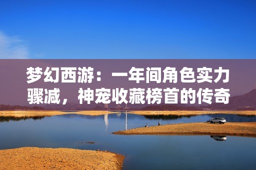 梦幻西游：一年间角色实力骤减，神宠收藏榜首的传奇故事