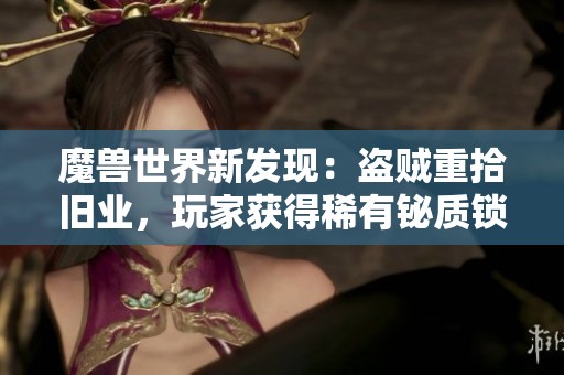 魔兽世界新发现：盗贼重拾旧业，玩家获得稀有铋质锁升级装备