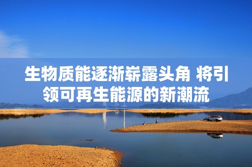 生物质能逐渐崭露头角 将引领可再生能源的新潮流