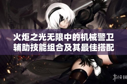 火炬之光无限中的机械警卫辅助技能组合及其最佳搭配解析