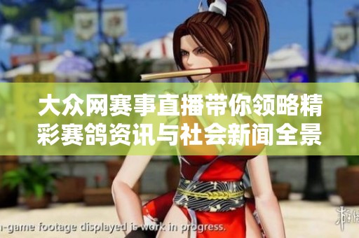 大众网赛事直播带你领略精彩赛鸽资讯与社会新闻全景