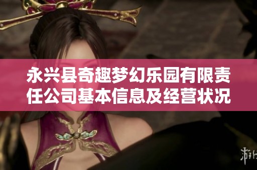 永兴县奇趣梦幻乐园有限责任公司基本信息及经营状况分析