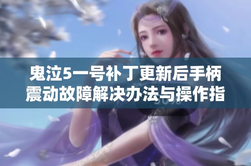 鬼泣5一号补丁更新后手柄震动故障解决办法与操作指南