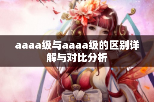 aaaa级与aaaa级的区别详解与对比分析