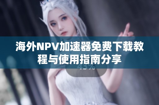 海外NPV加速器免费下载教程与使用指南分享