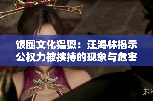 饭圈文化猖獗：汪海林揭示公权力被挟持的现象与危害